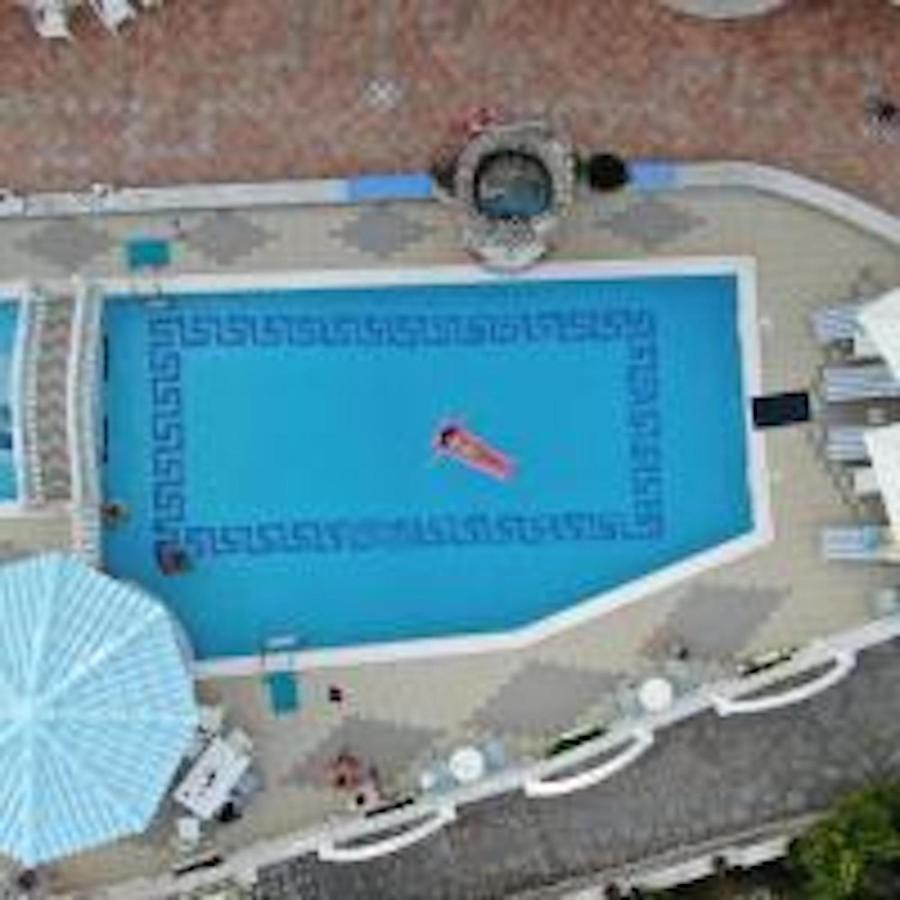 Apartment Dolphin