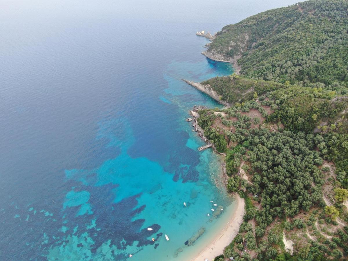 Dolphin Parga